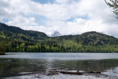 Alpsee